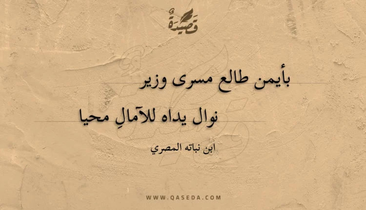 قصيدة بأيمن طالع مسرى وزير