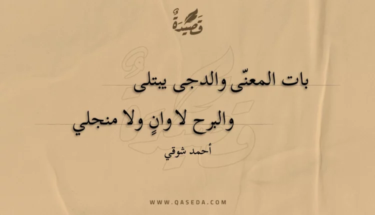 قصيدة بات المعنى والدجى يبتلى