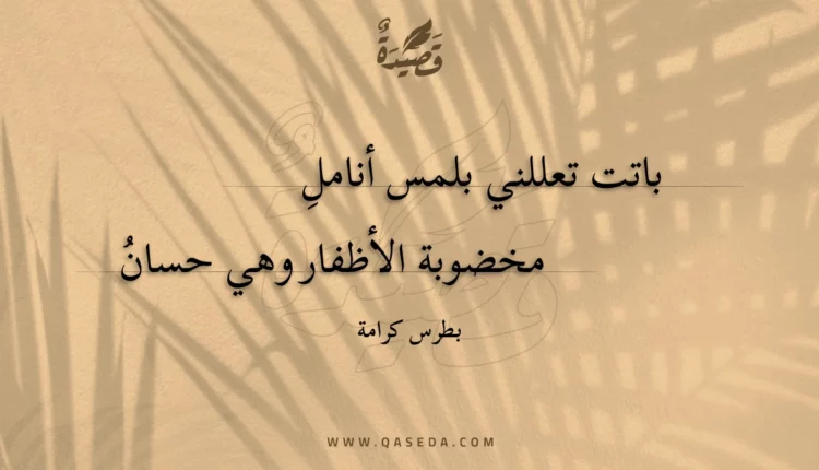 قصيدة باتت تعللني بلمس أنامل