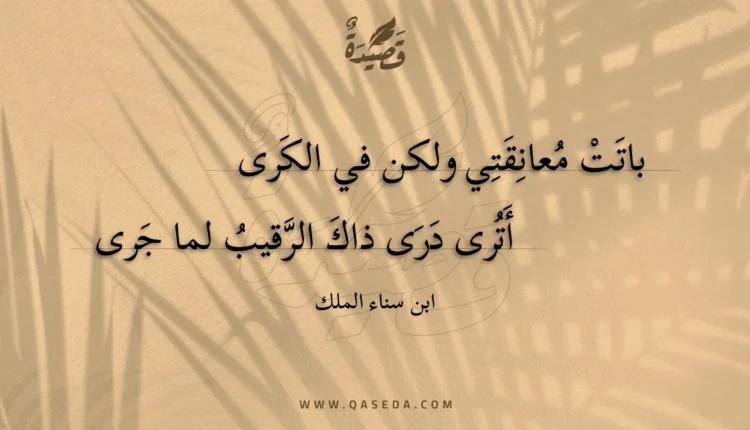 قصيدة باتت معانقتي ولكن في الكرى