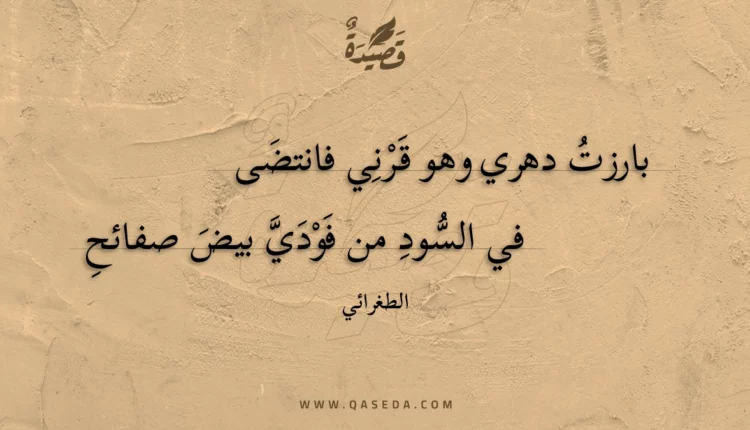 قصيدة بارزت دهري وهو قرني فانتضى