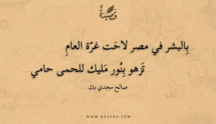 قصيدة بالبشر في مصر لاحت غرة العام