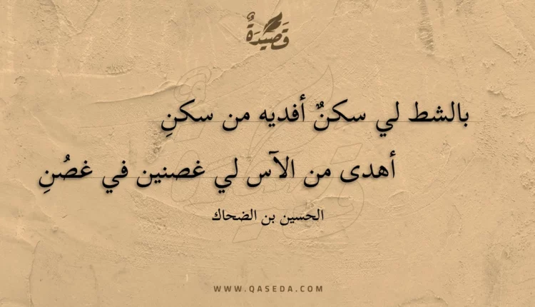 قصيدة بالشط لي سكن أفديه من سكنِ