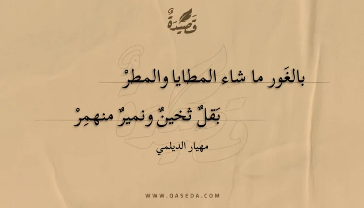 قصيدة بالغور ما شاء المطايا والمطر