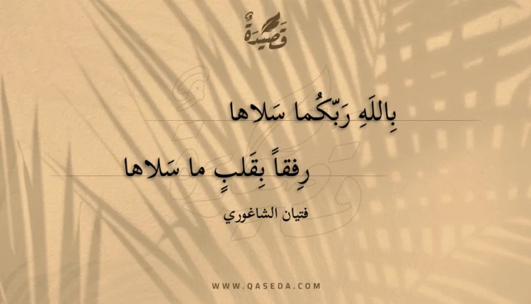 قصيدة بالله ربكما سلاها