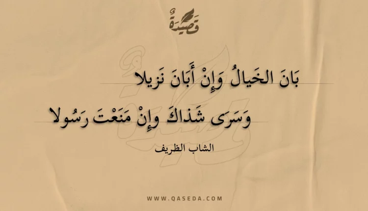 قصيدة بان الخيال وإن أبان نزيلا