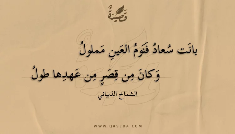 قصيدة بانت سعاد فنوم العين مملول