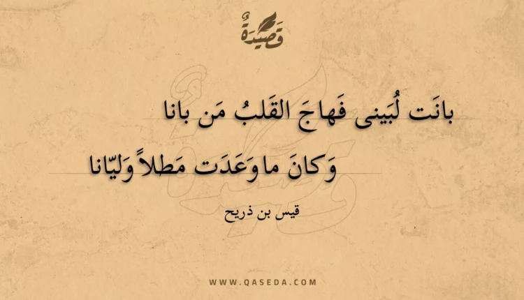 قصيدة بانت لبينى فهاج القلب من بانا
