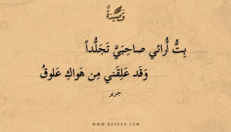 قصيدة بت أرائي صاحبي تجلدا