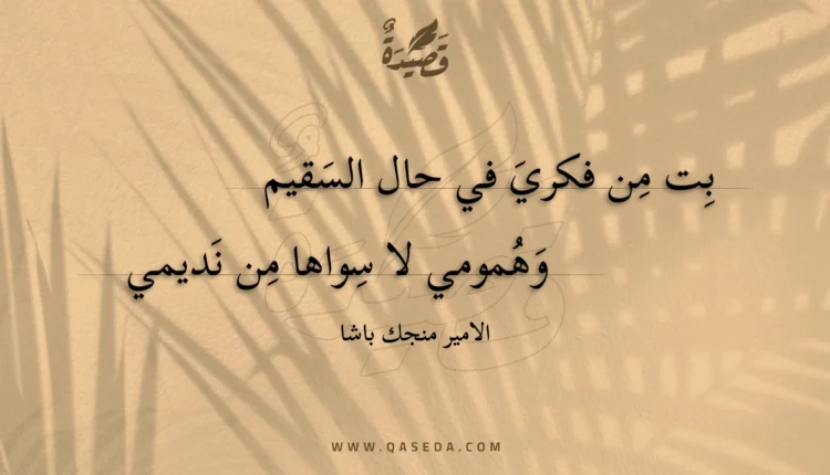 قصيدة بت من فكري في حال السقيم