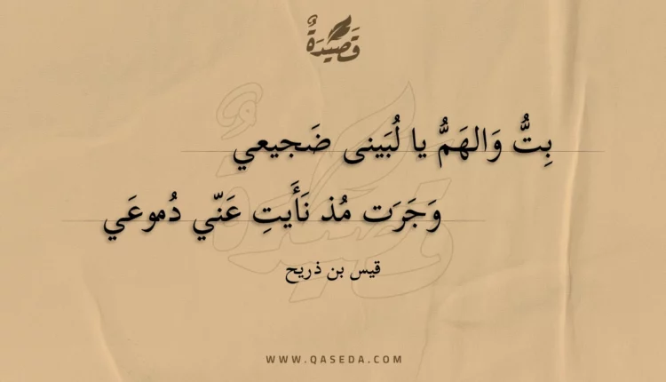 قصيدة بت والهم يا لبينى ضجيعي