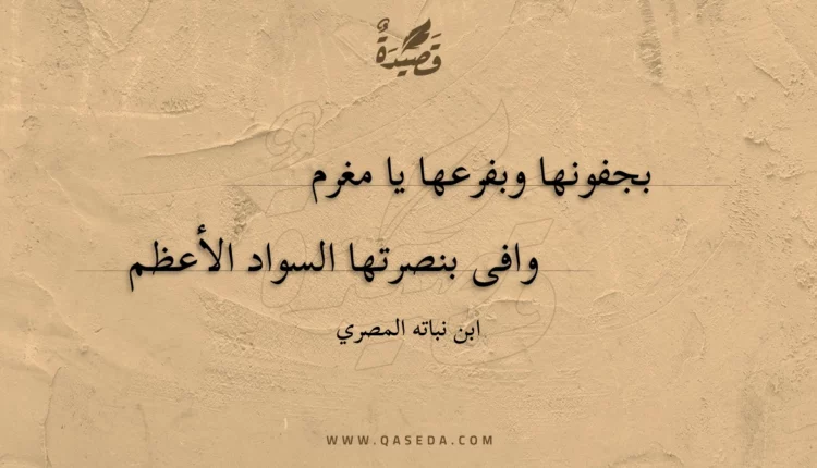 قصيدة بجفونها وبفرعها يا مغرم