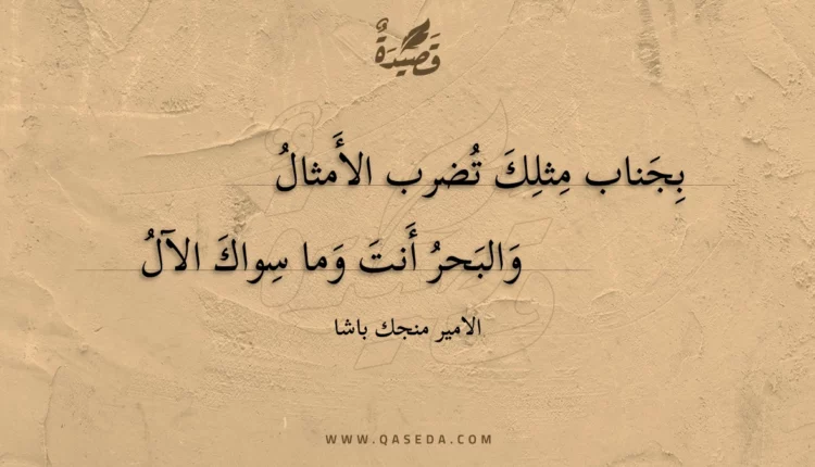 قصيدة بجناب مثلك تضرب الأمثال