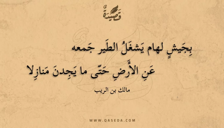 قصيدة بجيش لهام يشغل الطير جمعه