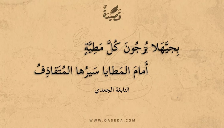 قصيدة بجيهلا يزجون كل مطية