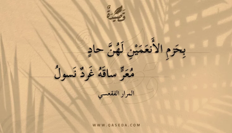 قصيدة بحزم الأنعمين لهن حاد