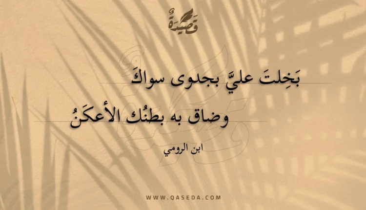 قصيدة بخلت علي بجدوى سواك