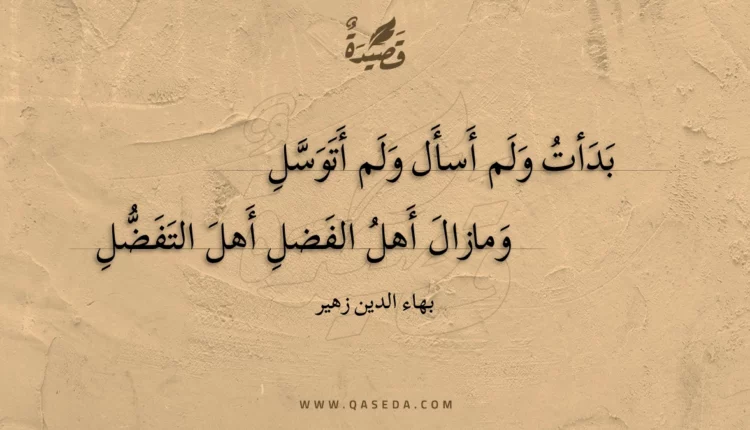 قصيدة بدأت ولم أسأل ولم أتوسل