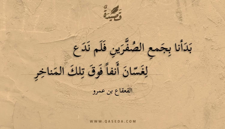 قصيدة بدأنا بجمع الصفرين فلم ندع