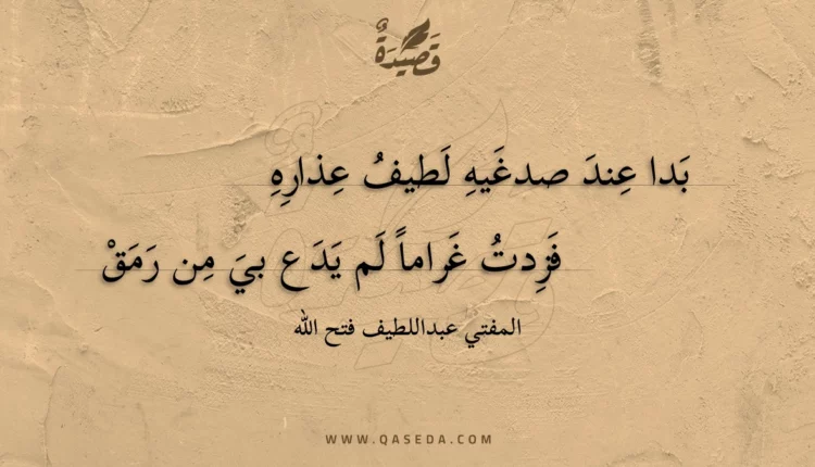 قصيدة بدا عند صدغيه لطيف عذاره