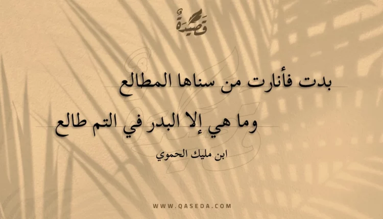 قصيدة بدت فأنارت من سناها المطالع