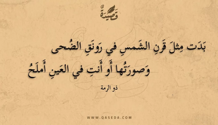قصيدة بدت مثل قرن الشمس في رونق الضحى