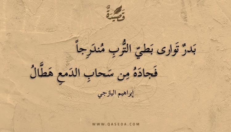 قصيدة بدر توارى بطي الترب مندرجا