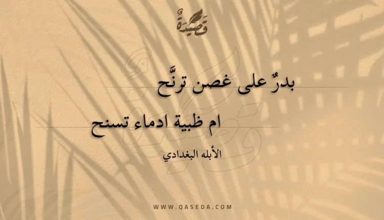قصيدة بدر على غصن ترنح