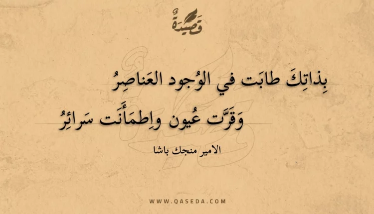 قصيدة بذاتك طابت في الوجود العناصر