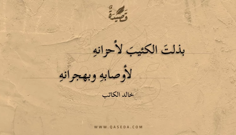 قصيدة بذلت الكئيب لأحزانه