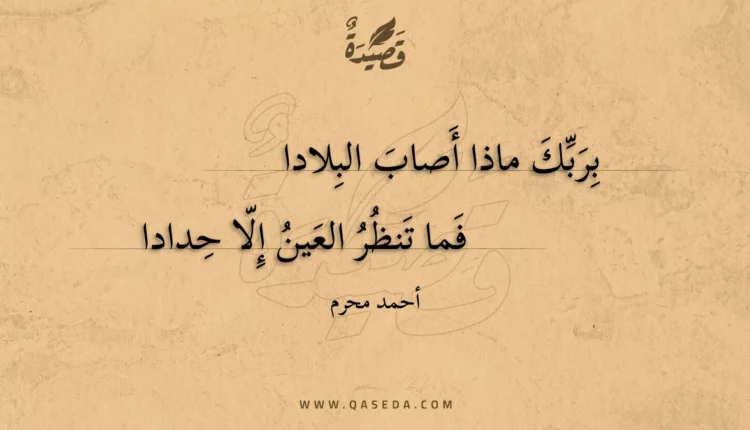 قصيدة بربك ماذا أصاب البلادا