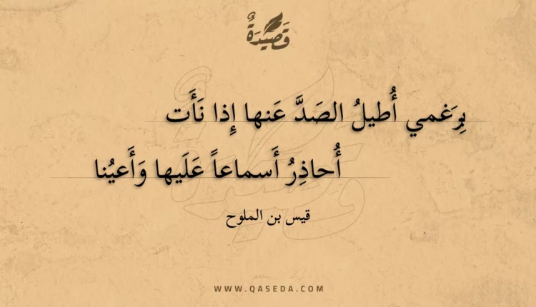 قصيدة برغمي أطيل الصد عنها إذا نأت