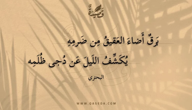 قصيدة برق أضاء العقيق من ضرمه
