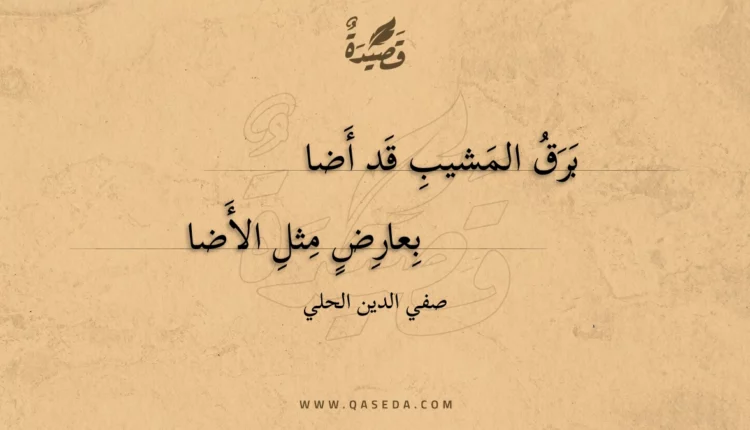 قصيدة برق المشيب قد أضا
