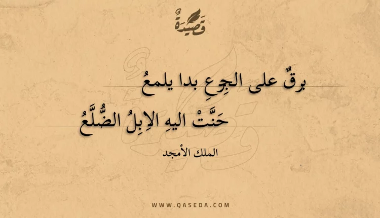 قصيدة برق على الجزع بدا يلمع