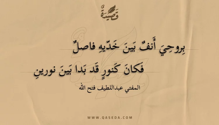 قصيدة بروحي أنف بين خديه فاصل