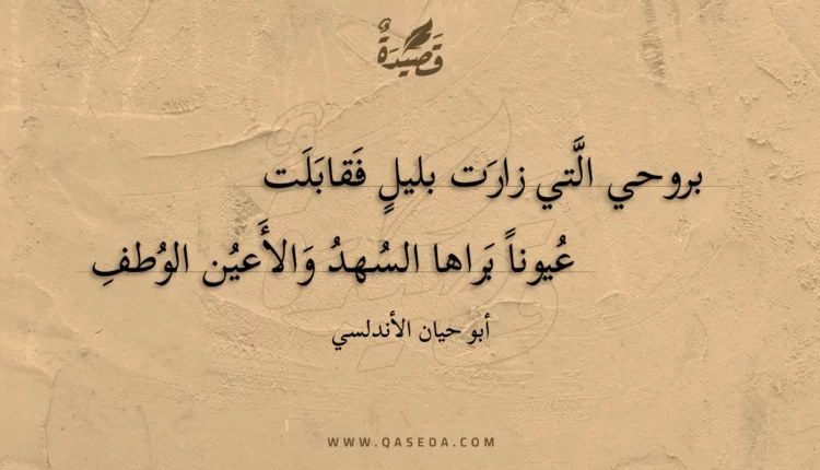 قصيدة بروحي التي زارت بليل فقابلت