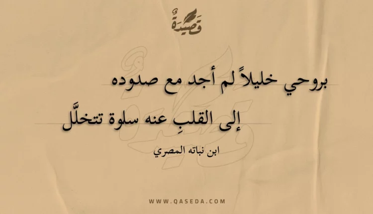 قصيدة بروحي خليلا لم أجد مع صدوده