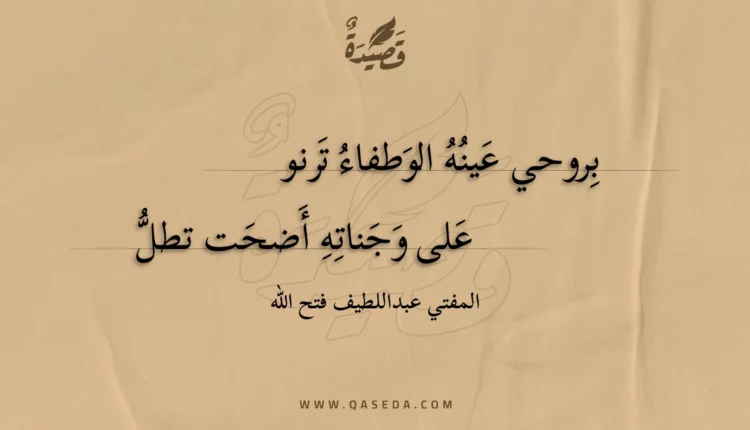 قصيدة بروحي عينه الوطفاء ترنو
