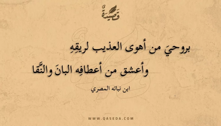 قصيدة بروحي من أهوى العذيب لريقه