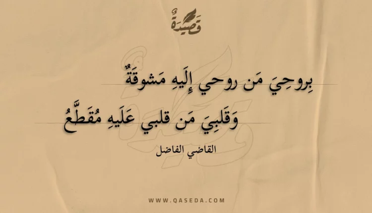 قصيدة بروحي من روحي إليه مشوقة