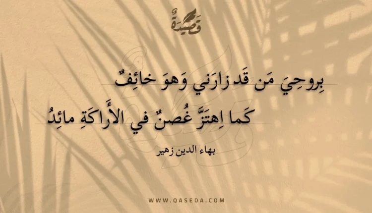 قصيدة بروحي من قد زارني وهو خائف