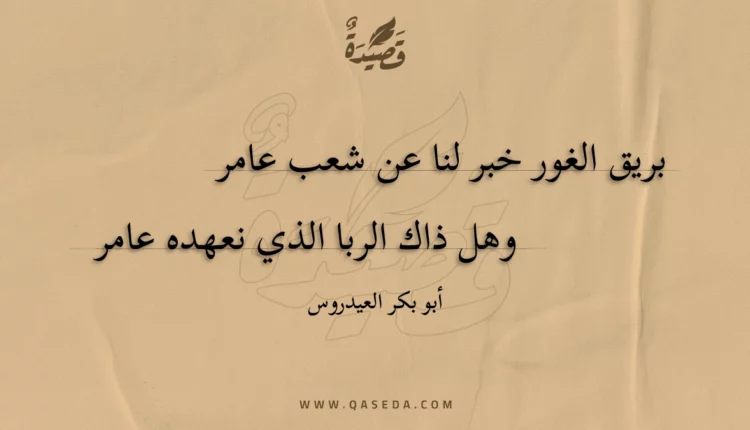 قصيدة بريق الغور خبر لنا عن شعب عامر