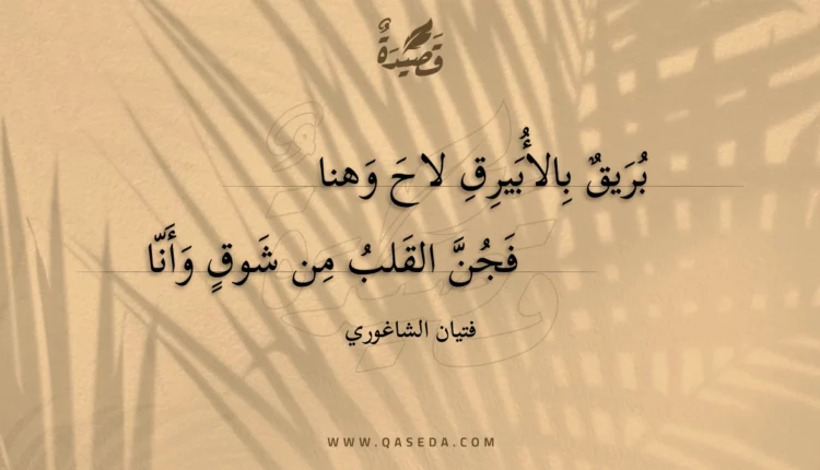 قصيدة بريق بالأبيرق لاح وهنا