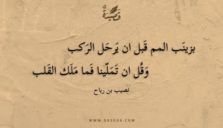 قصيدة بزينب المم قبل ان يرحل الركب