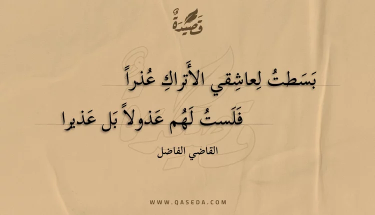 قصيدة بسطت لعاشقي الأتراك عذرا
