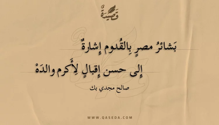 قصيدة بشائر مصر بالقدوم إشارة