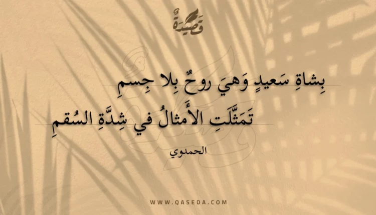 قصيدة بشاة سعيد وهي روح بلا جسم