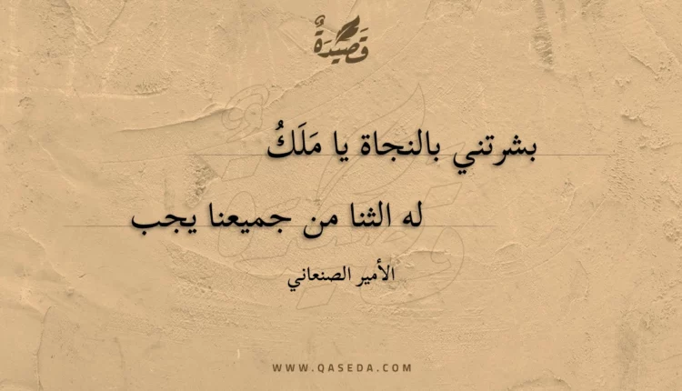 قصيدة بشرتني بالنجاة يا ملك