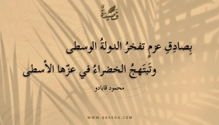 قصيدة بصادق عزم تفخر الدولة الوسطى